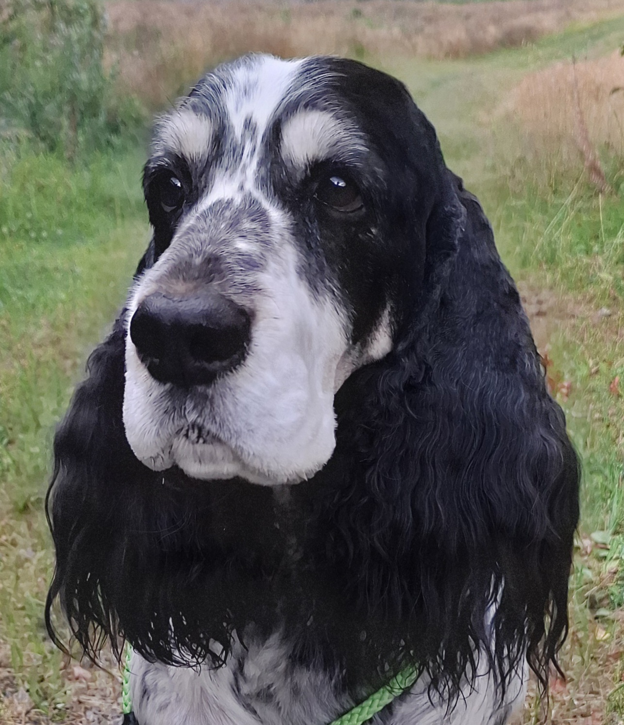 NUCH M.Nike Athlete, Liam i sitt 10.år, far til Isac