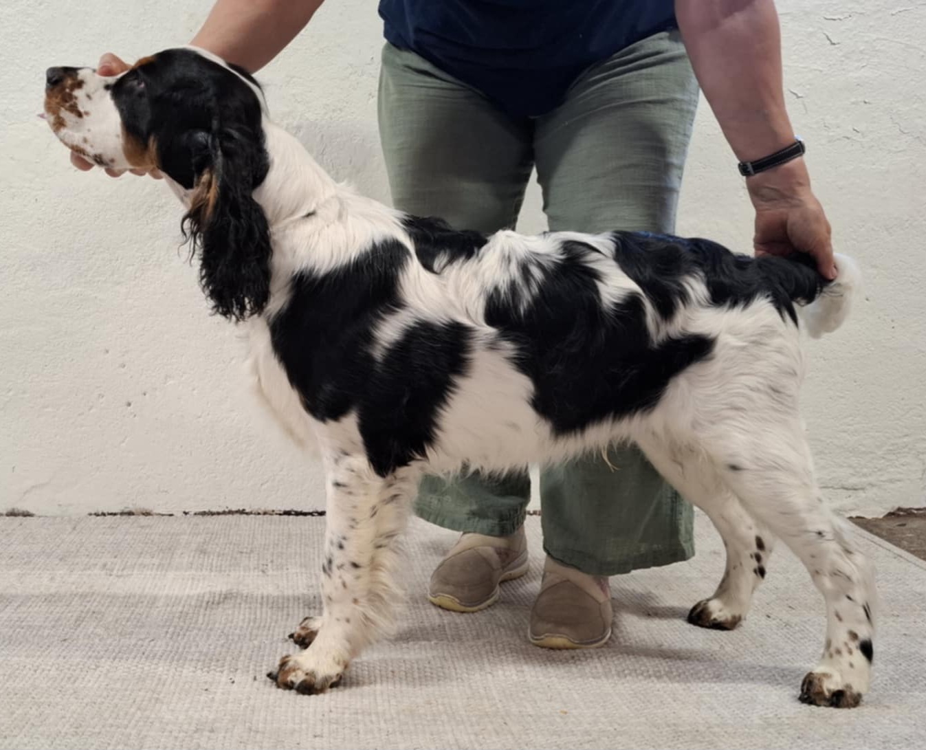 Tobi 5 mndr