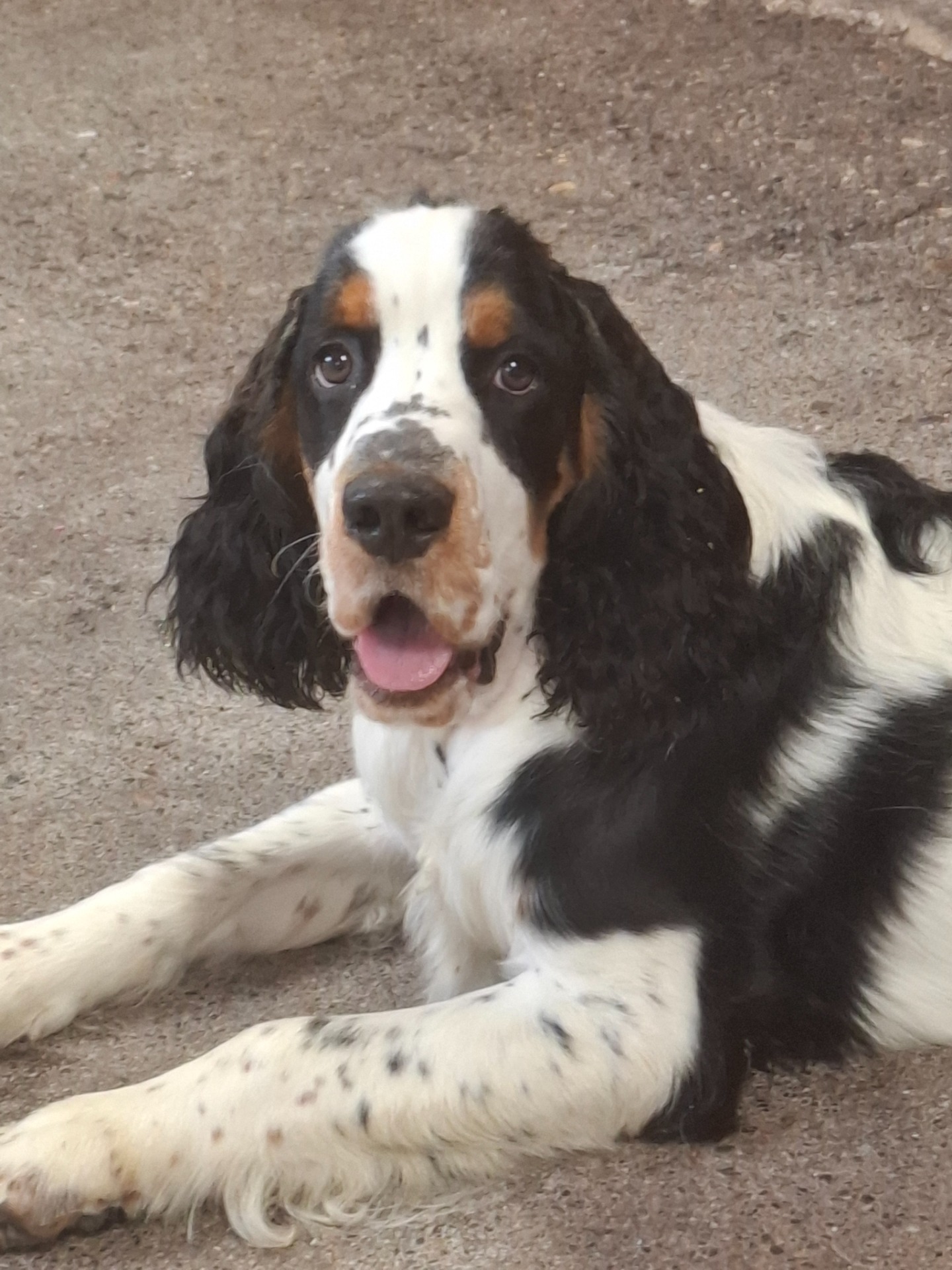 Tobi 5 mndr