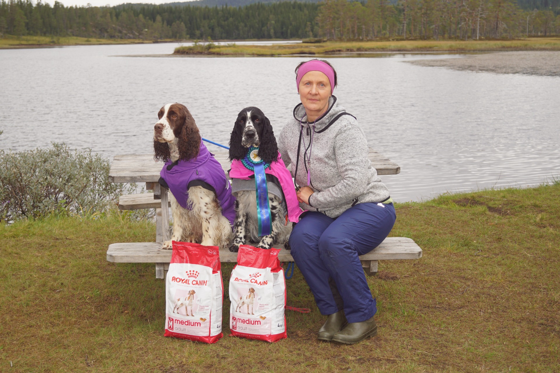 JAL resultat, bestått