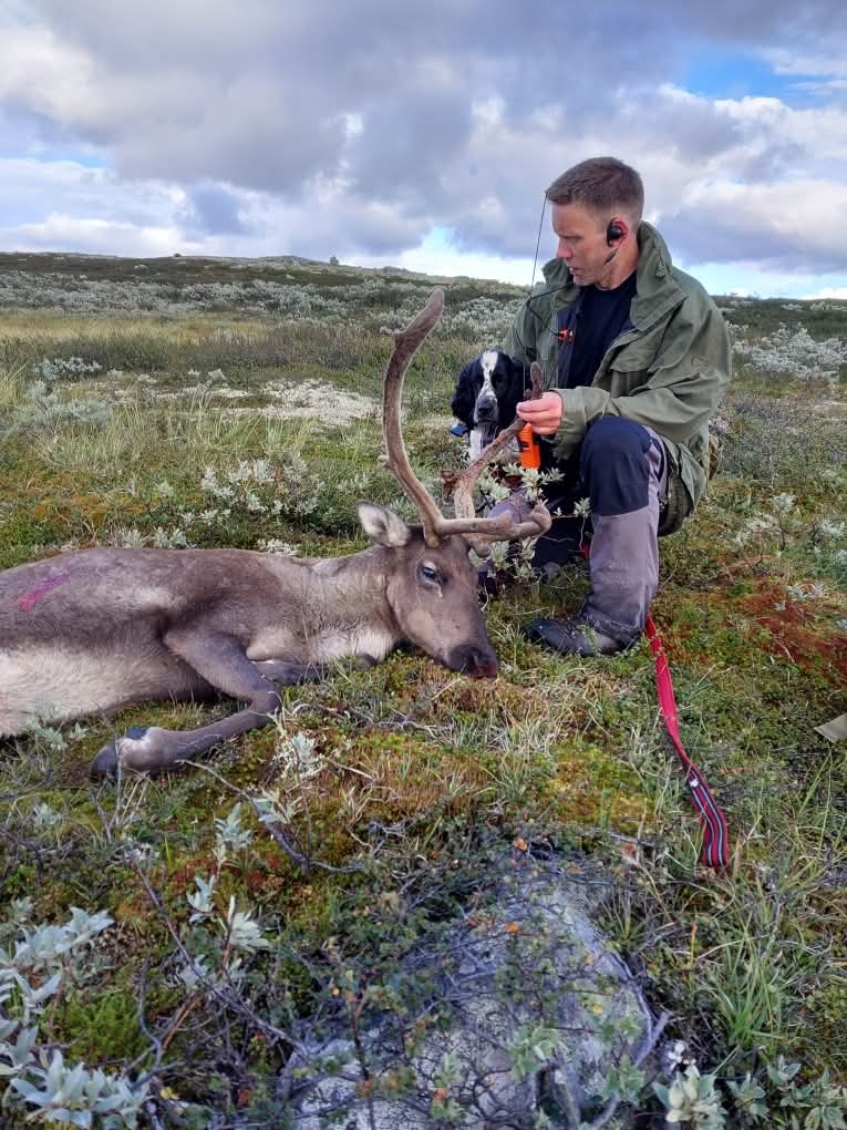 Luna 5 mndr med på første hjortefall