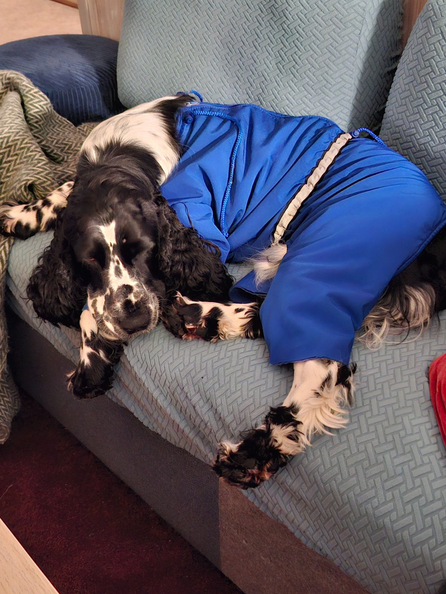 Prøver turdress og den funker godt i sofaen og ...