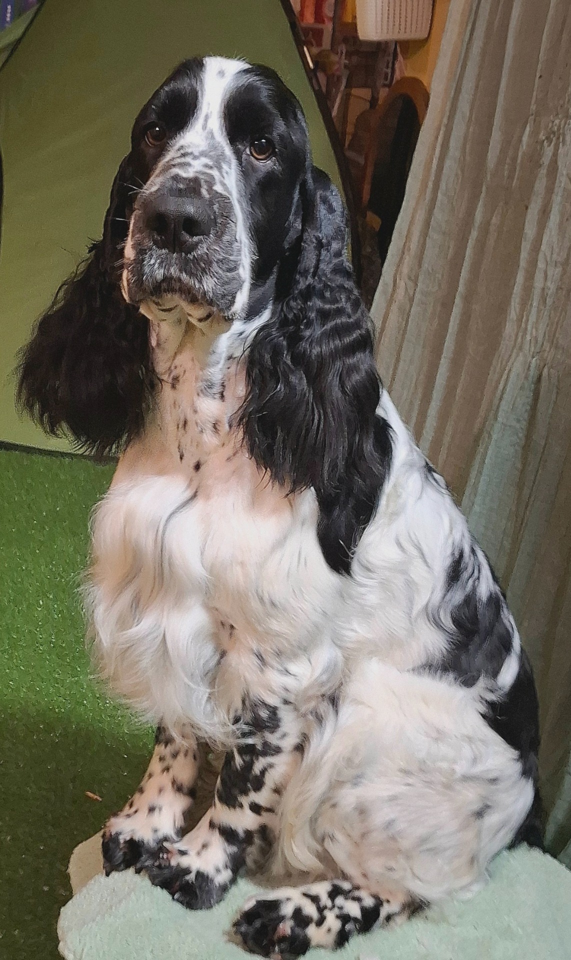 Bendic fyller 12 mndr