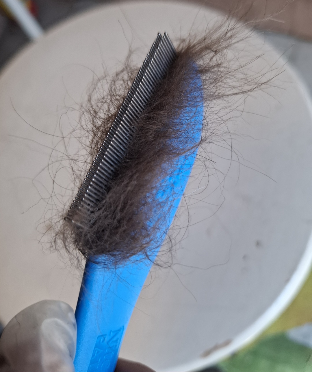 Nitcomb M2, Dobbel lusekam