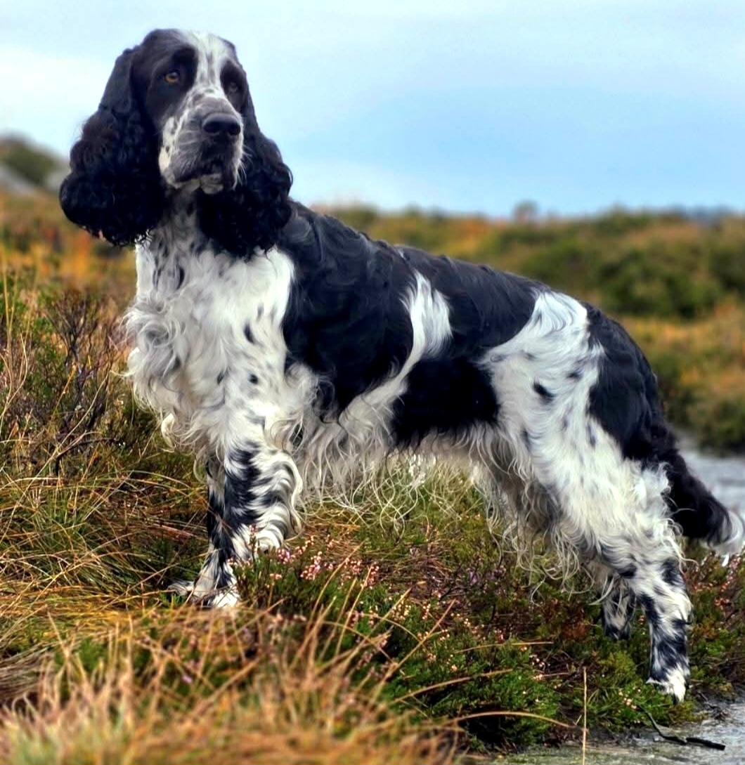 Cocos, foto: Solgunn 