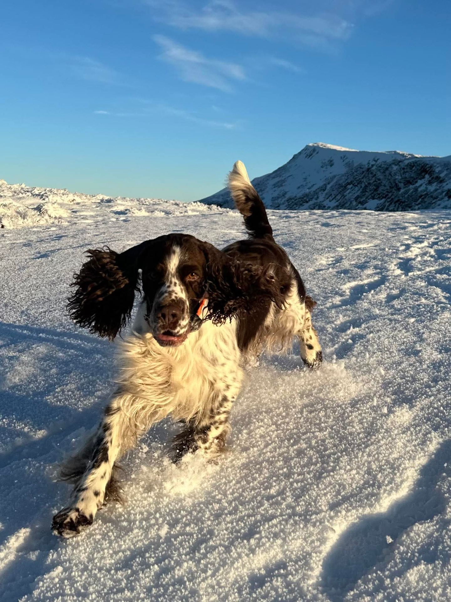 Filip er en av de glade guttene i det kullet