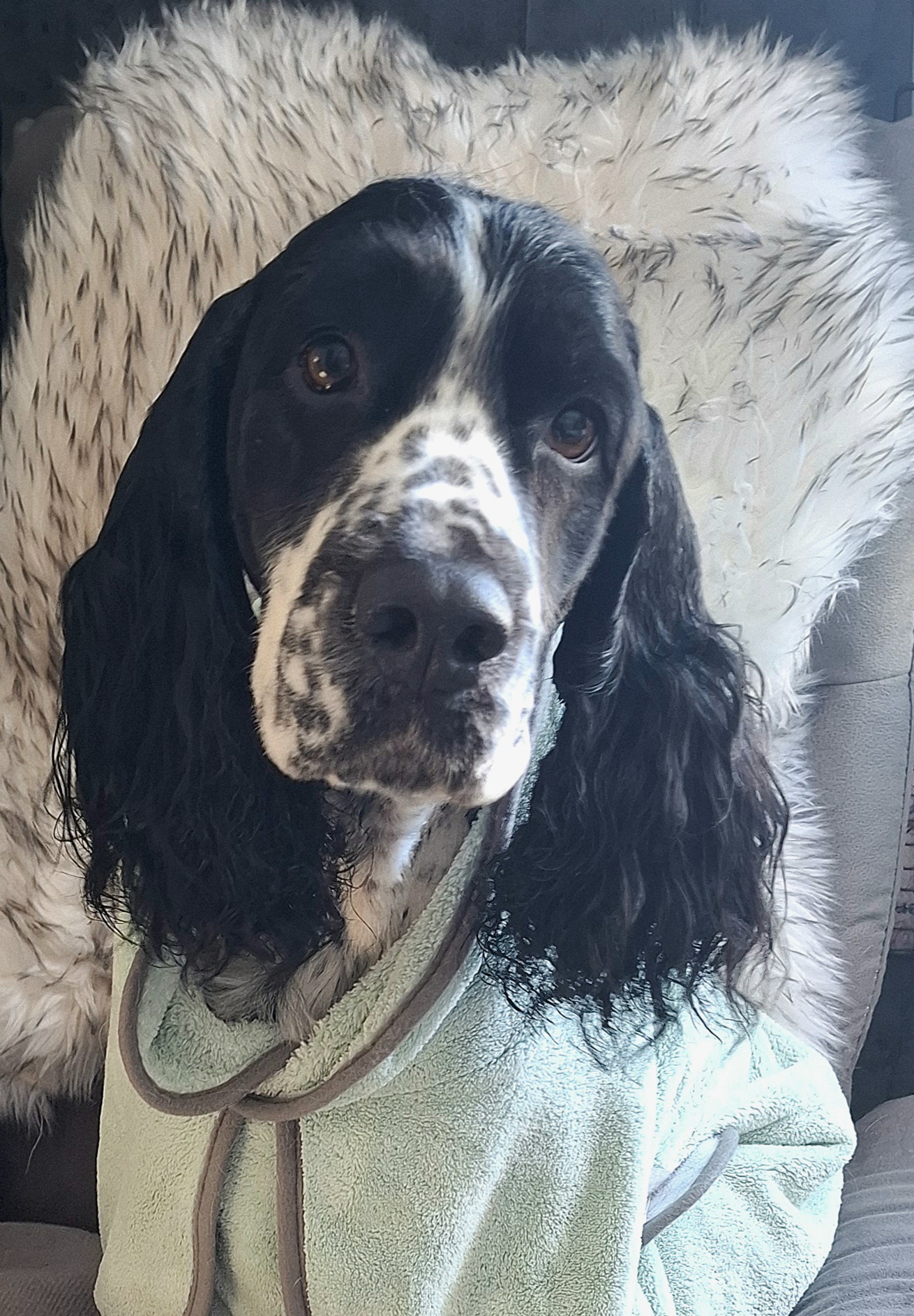 Chika 6 år