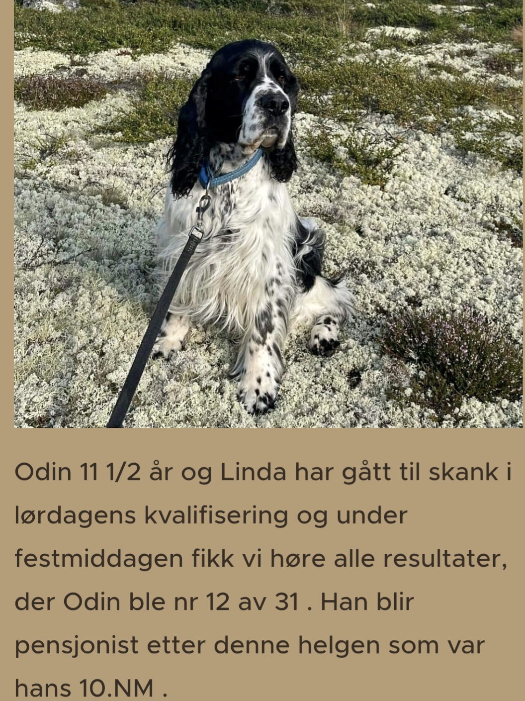 Odin i NM på Dovre