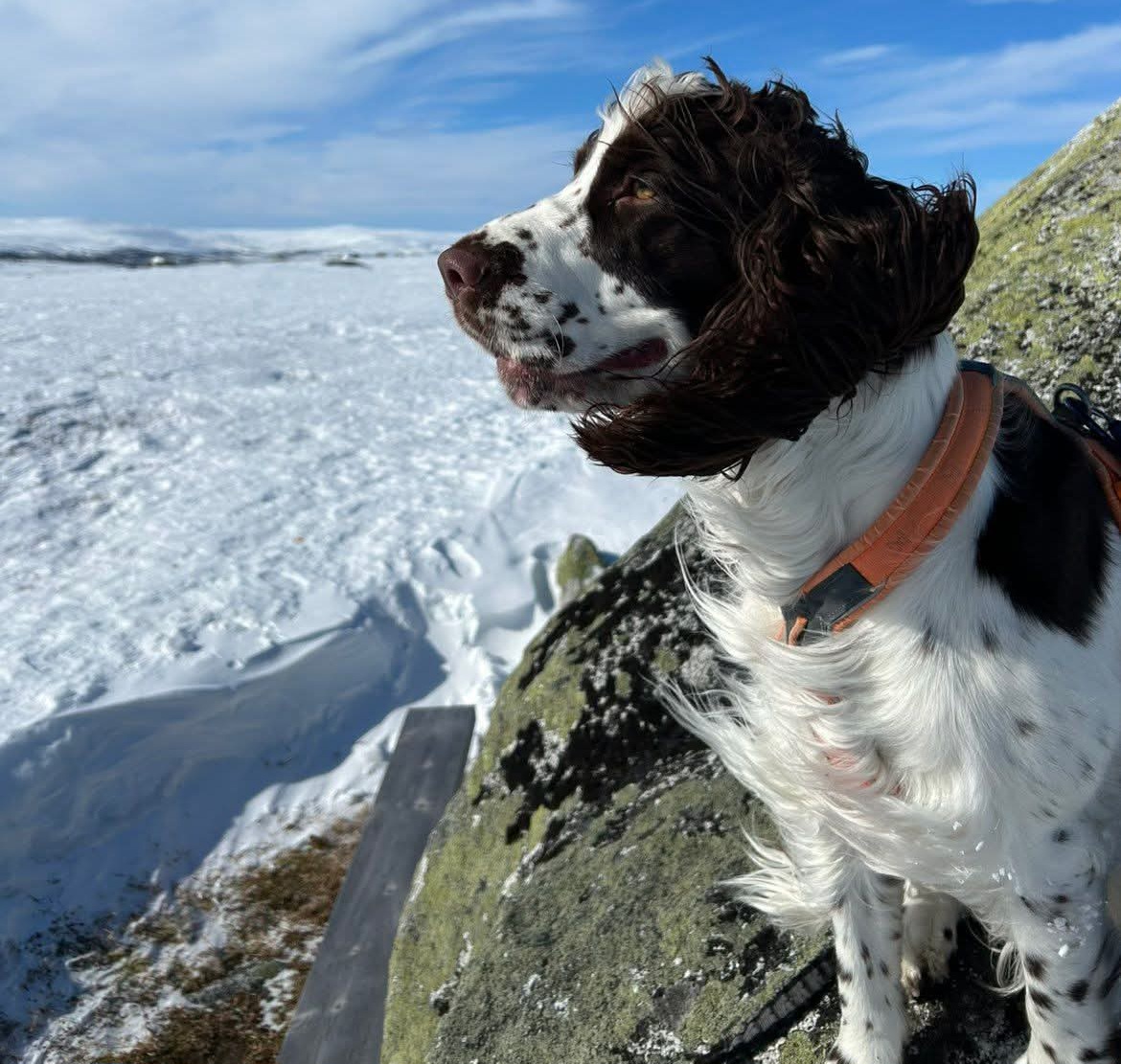 Luna påsken -26