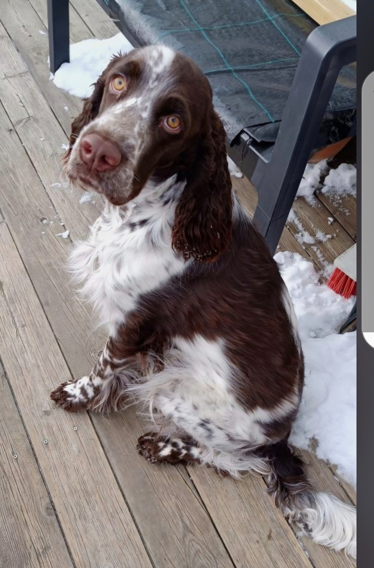 Lulu 12 mndr 