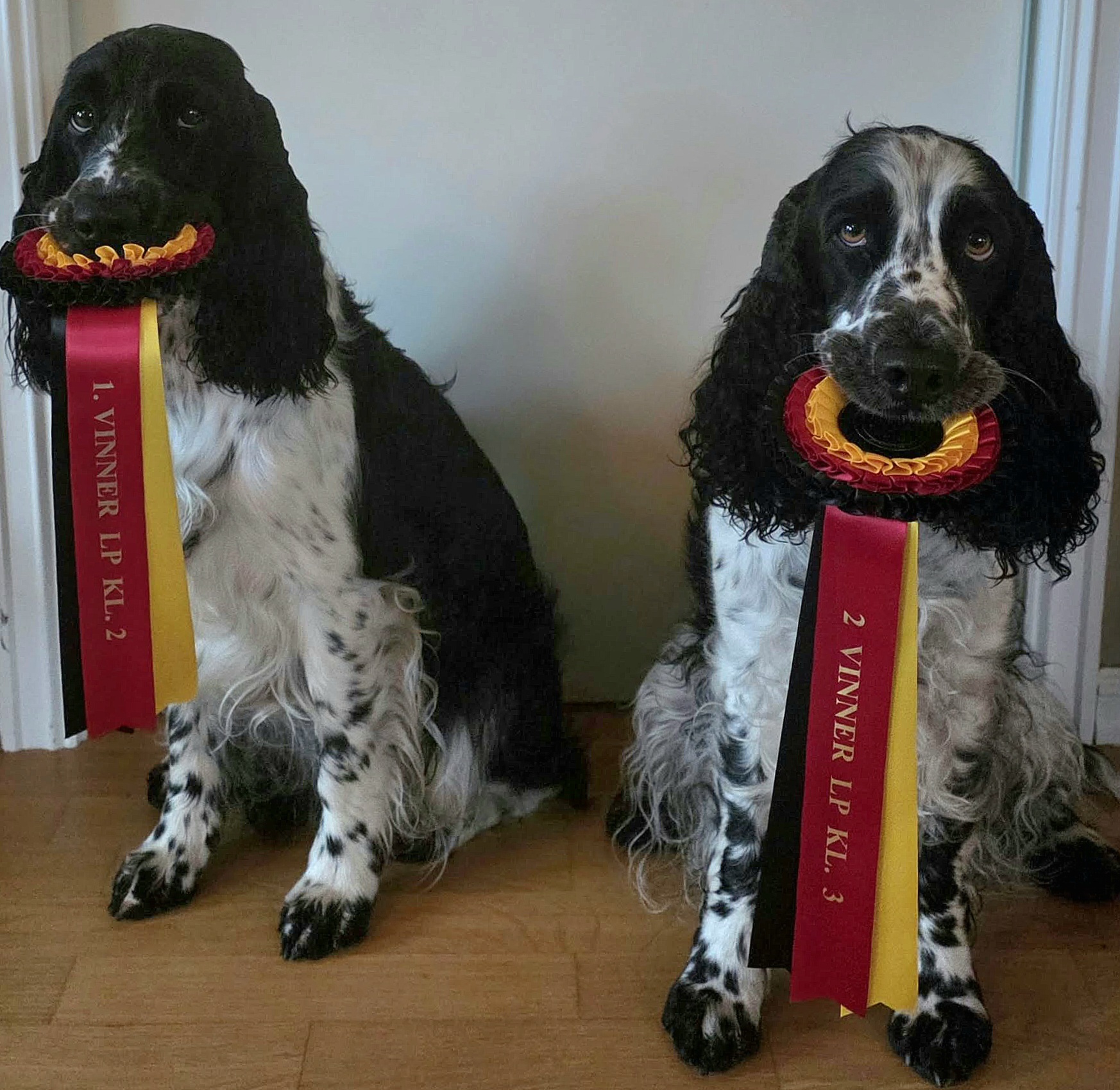 Rypa og Cocos med ferdig resultat, hhv vinner og 2.-vinner i sine klasser